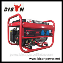 Bison China Zhejiang 3KW 6.5HP Portable Gasoline Engine Generator